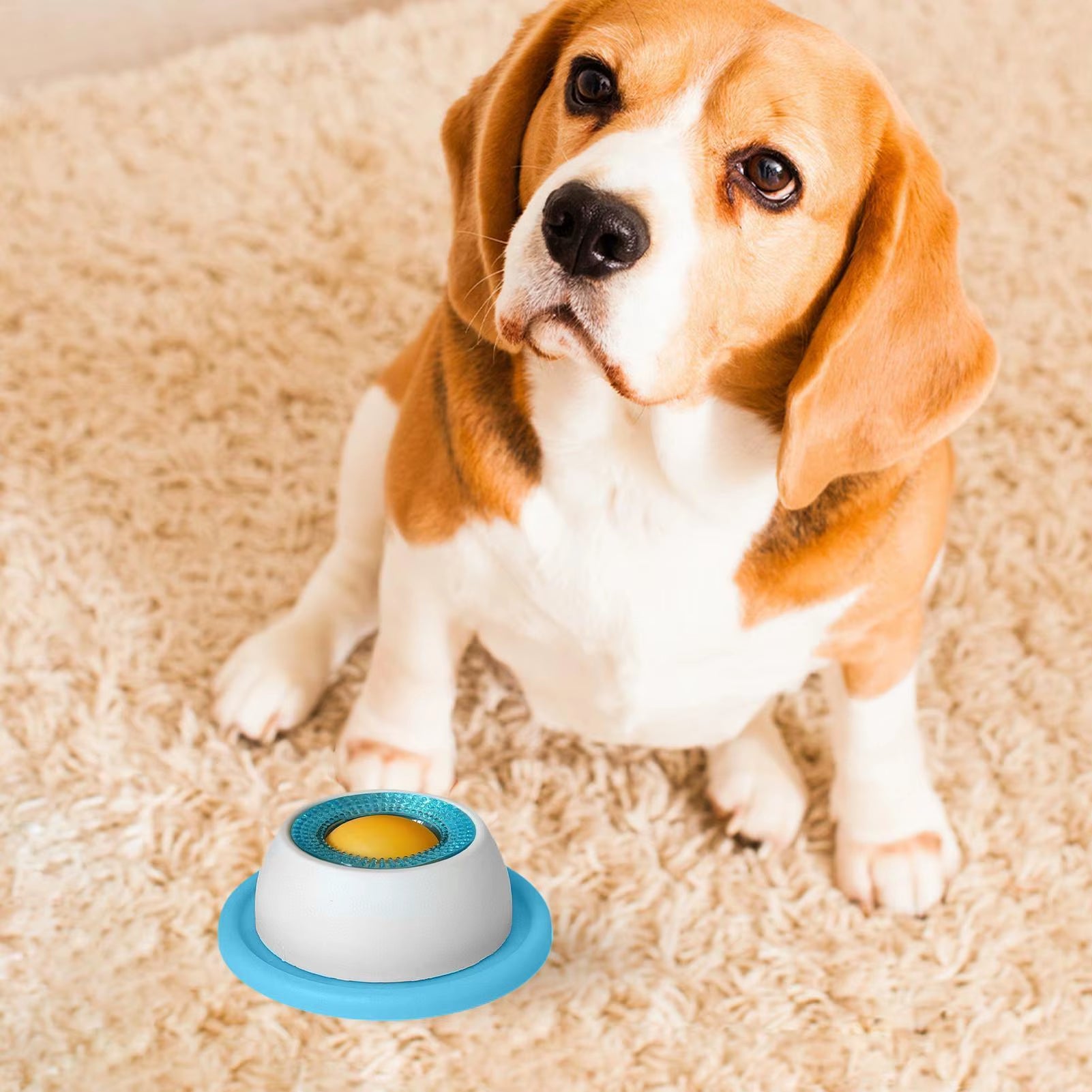 Pet Feeding Accessories Dog Treat Toy Puzzle Toys for Bored Puppy Slow Feeder Puppy Supplies for Healthy Eating Food Crate